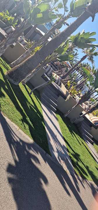 Gartenanlage Hotel Riu Tikida Dunas