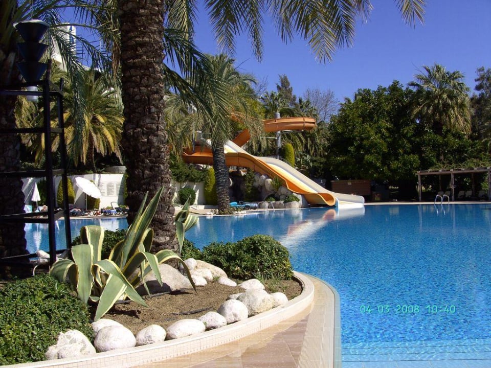 Der hoteleigene Pool Side Star Elegance