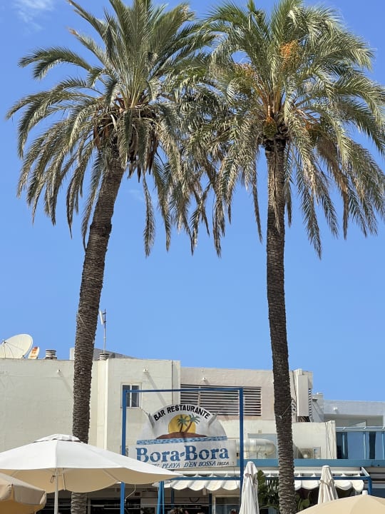 Ausblick Club Can Bossa