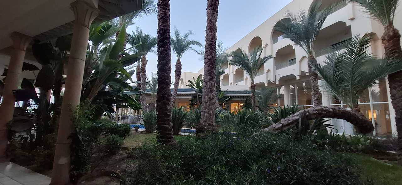 Gartenanlage Iberostar Waves Averroes