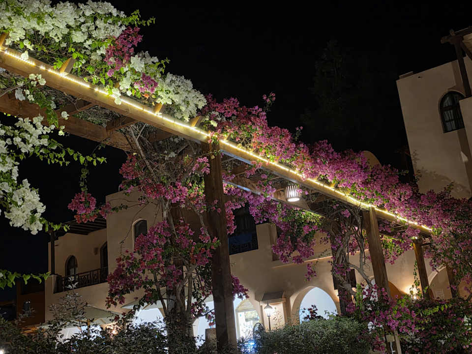 Gartenanlage Sultan Bey Hotel, El Gouna