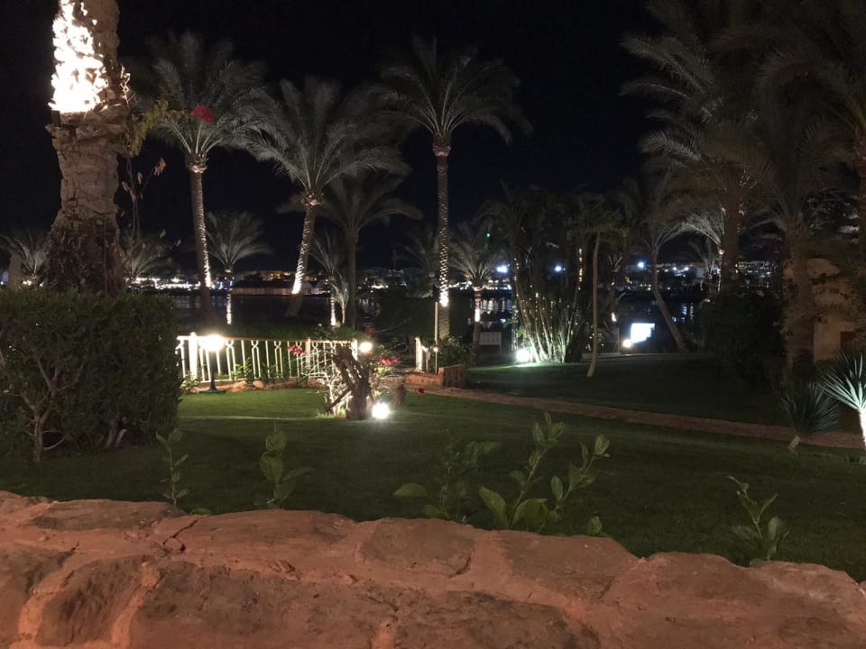 Gartenanlage Steigenberger Coraya Beach - Adults only