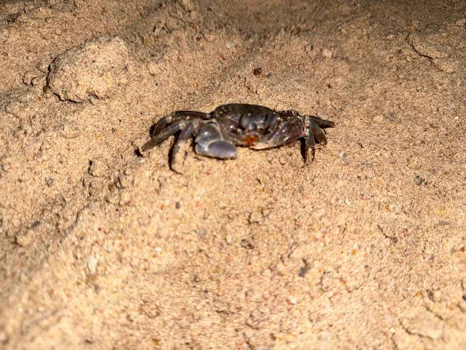 Sonstiges Steigenberger Aqua Magic