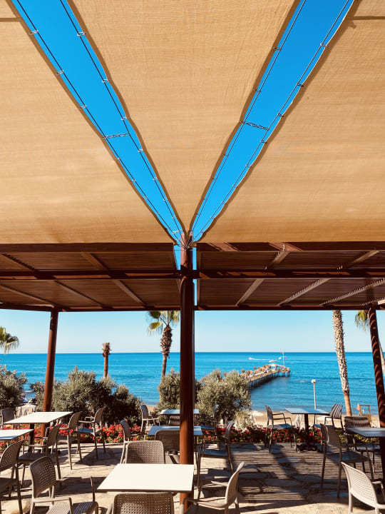 Gastro Arum Barut Collection