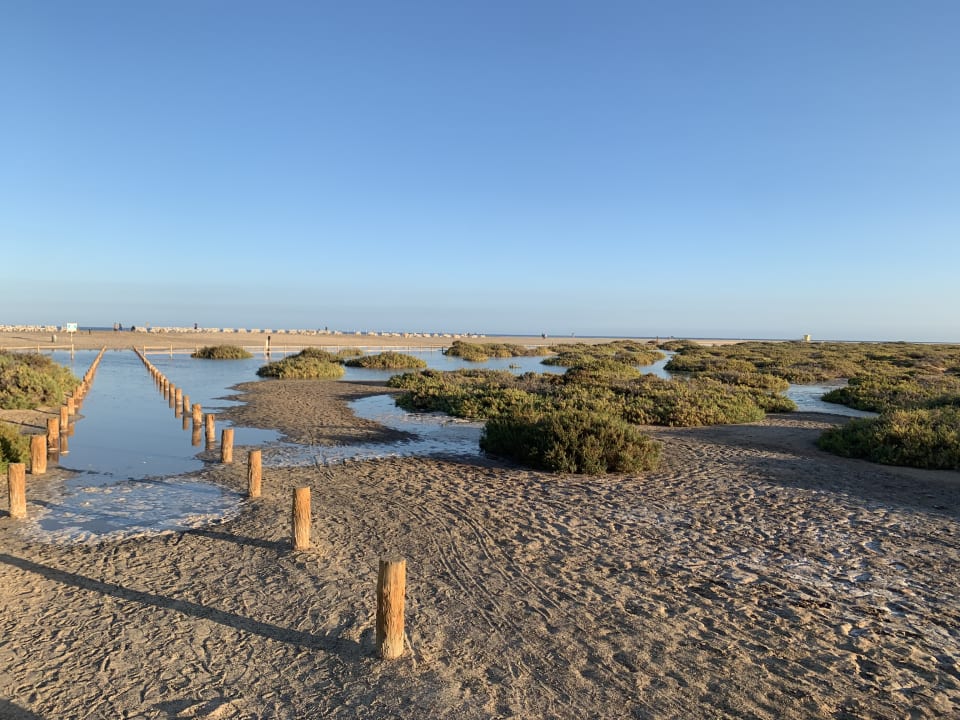 Strand Occidental Jandía Royal Level - Adults only