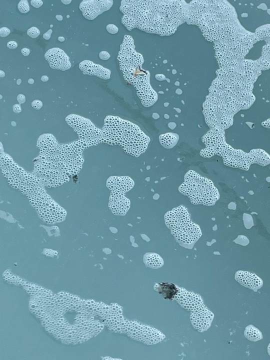 Zimmer Liberty Signa