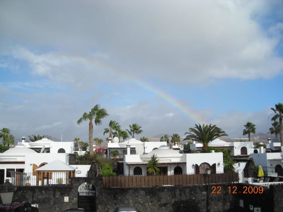 Regenbogen Relaxia Olivina