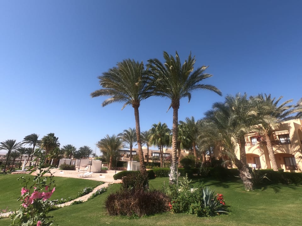 Außenansicht Steigenberger Coraya Beach - Adults only