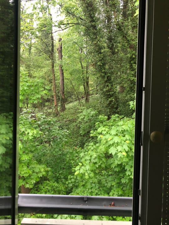 Ausblick Hotel Watthalden