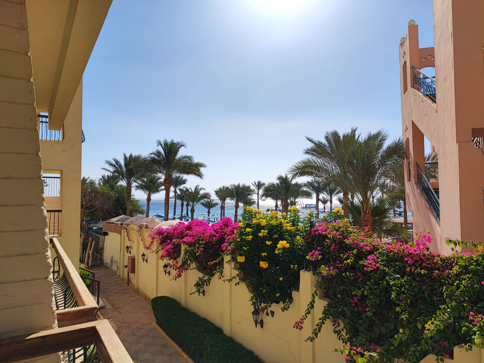 Ausblick Regina Resort and Aqua Park Hurghada