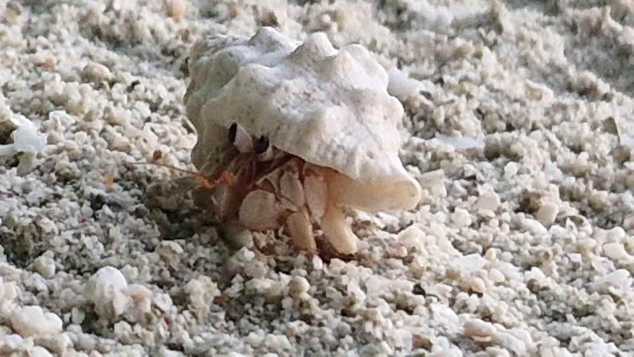 Sonstiges Kandima Maldives