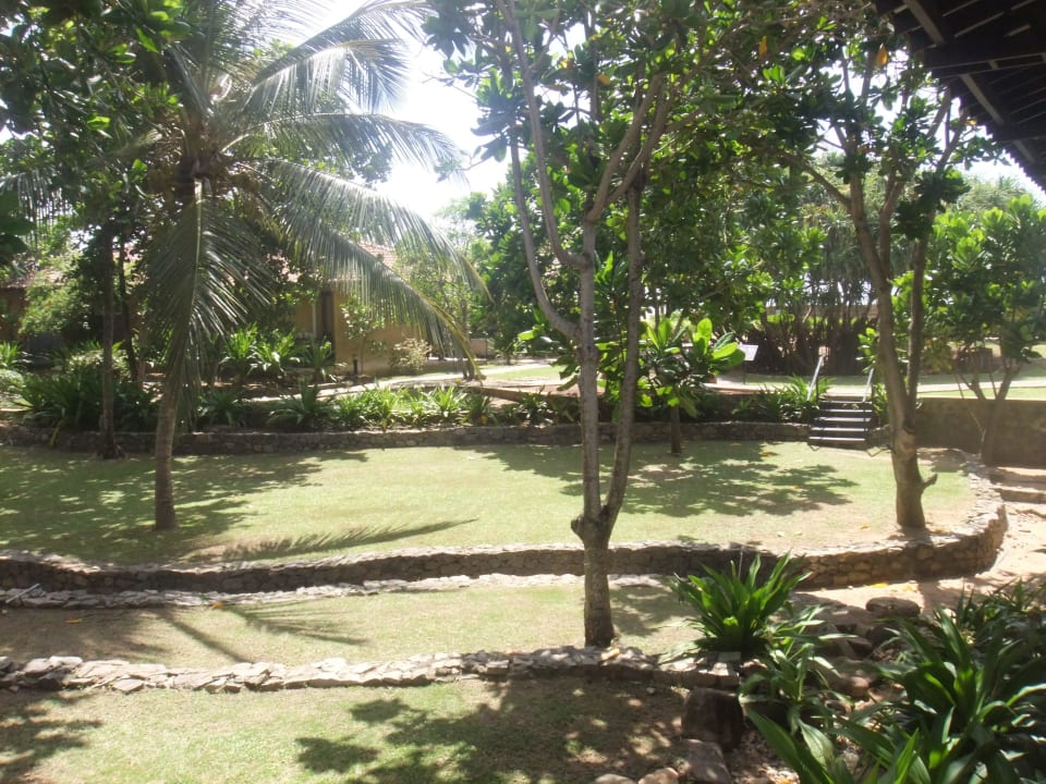 Gartenanlage Club Hotel Dolphin