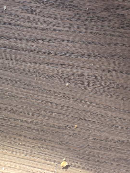 Zimmer Villa Side Residence