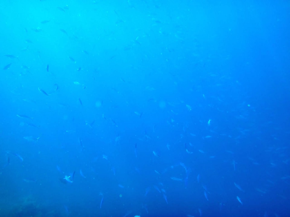 Unterwasserwelt Cinnamon Hakuraa Huraa Maldives