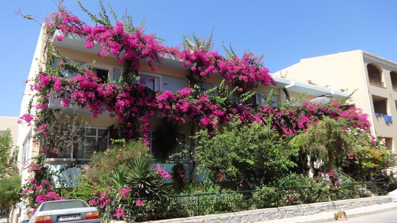 Dedalos beach Hotel Dedalos Beach