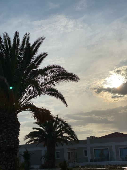 Gartenanlage Porto Bello Royal