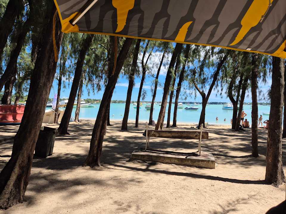 Sonstiges Lagoon Attitude - Adults only