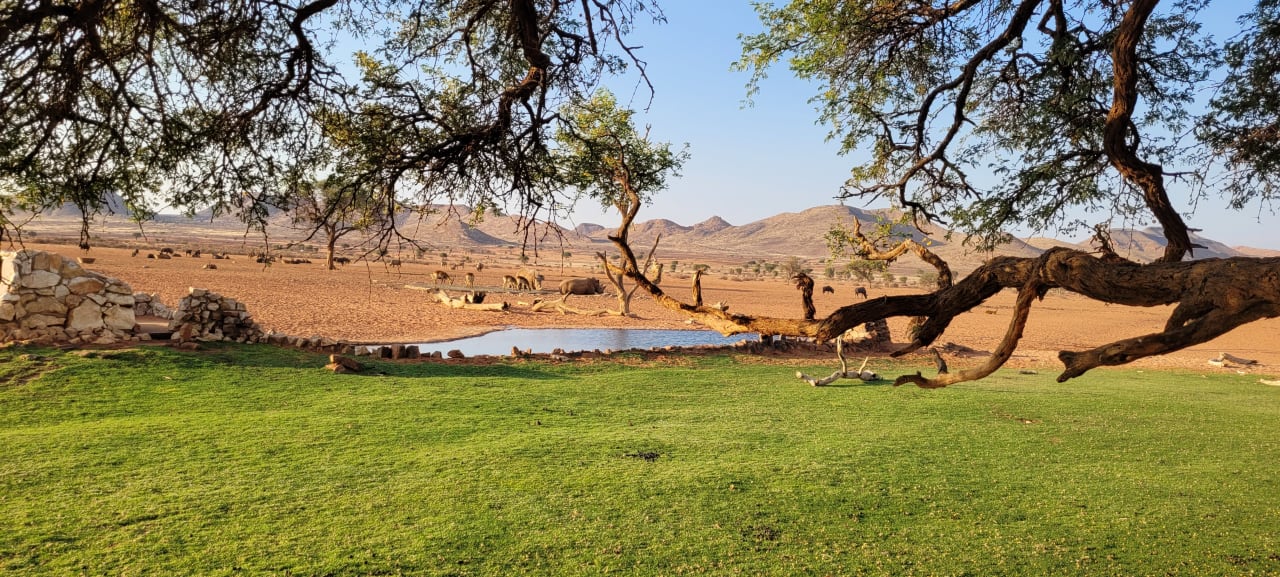 Gartenanlage We Kebi Safari Camp