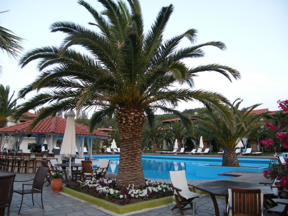 Pool am Morgen Assa Maris Beach Hotel