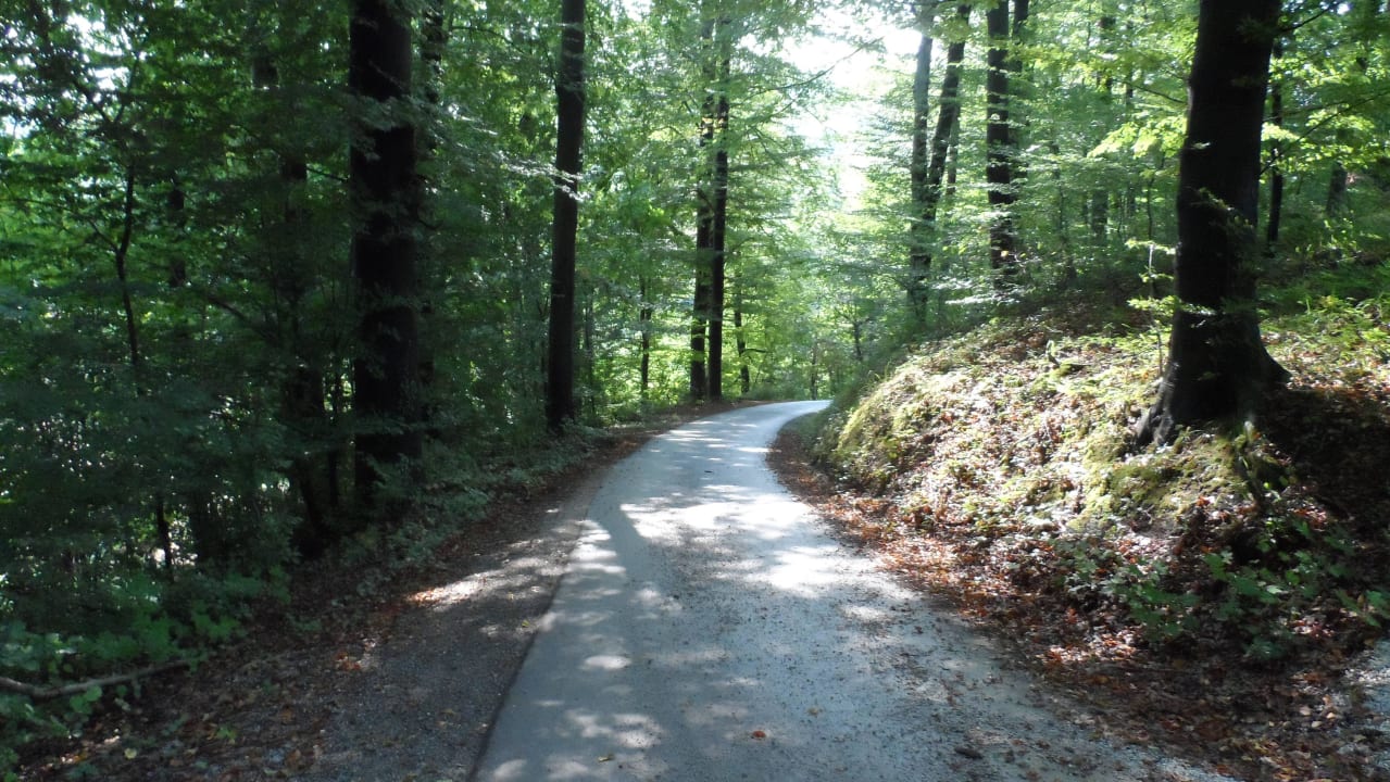 Лесная дорога, ведущая в горы Grand Hotel Rogaška Komfort