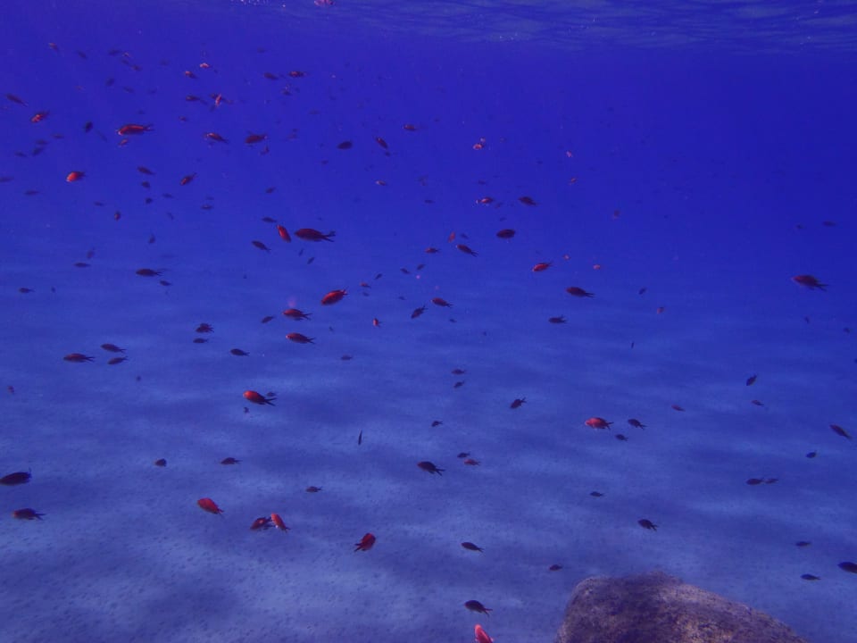 Strand Atlantica Mikri Poli Crete