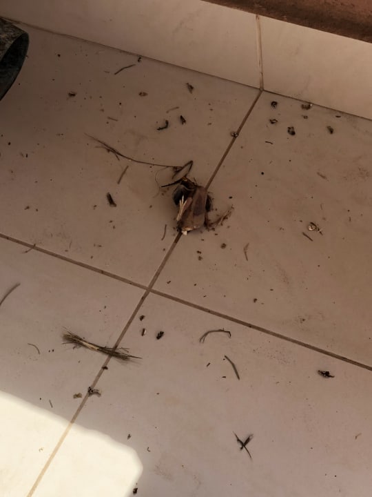 Zimmer Atlantica Belvedere Resort