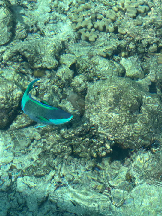 Strand Kudafushi Resort & Spa