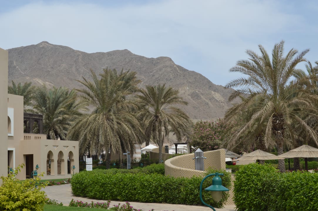 Gartenanlage Miramar Al Aqah Beach Resort