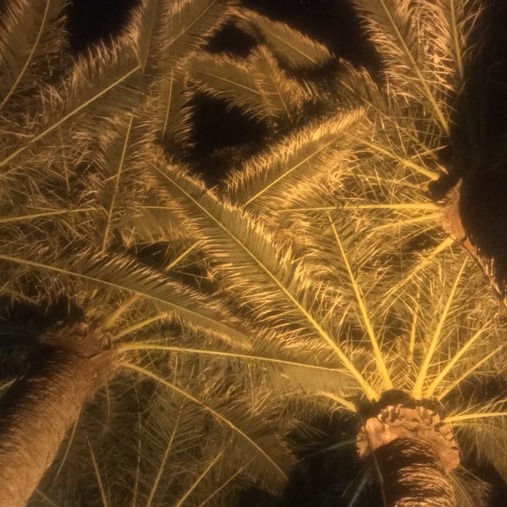 Außenansicht Anissa Beach & Village