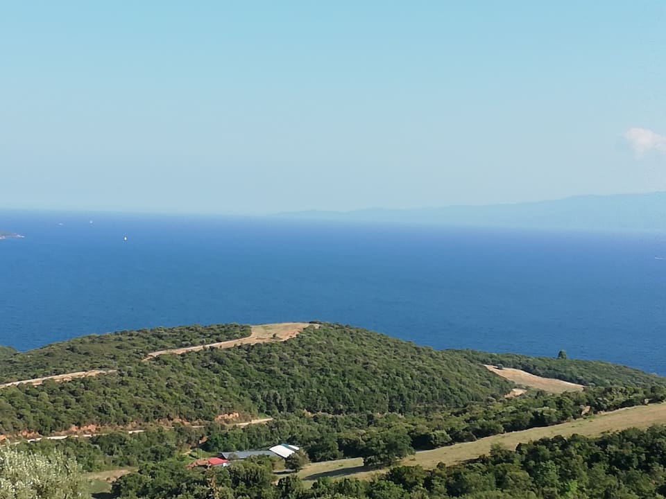 Ausblick Akrathos Beach Hotel