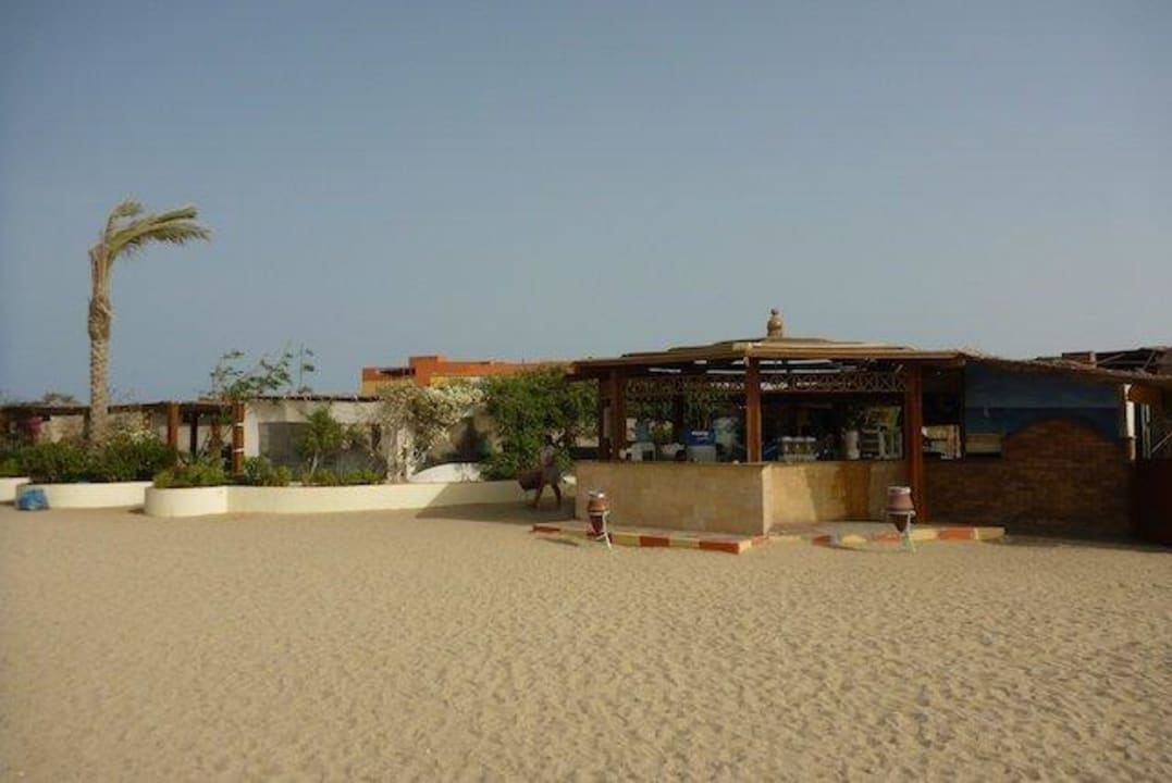 Strand Bar Malikia Resort Abu Dabbab