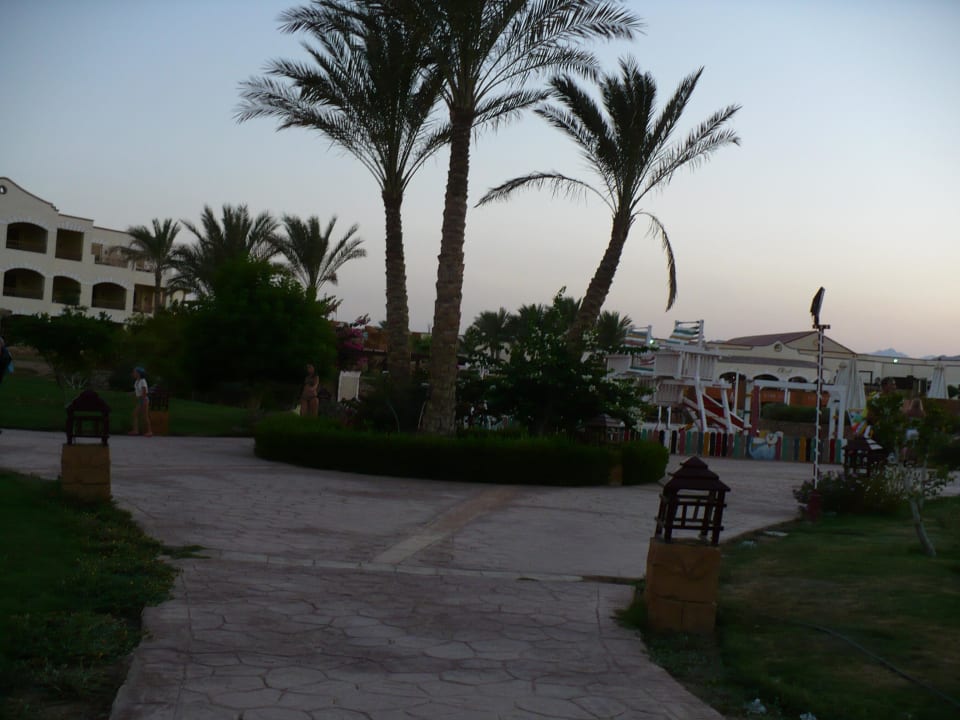 Ogród na terenie hotelu Regency Plaza Aqua Park & Spa