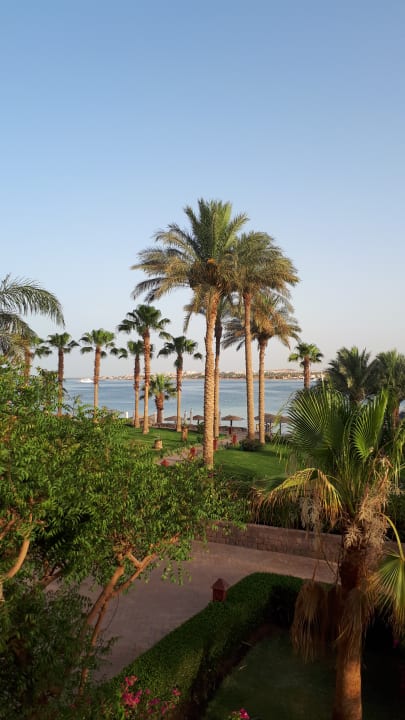 Zimmer Fort Arabesque Resort, Spa & Villas