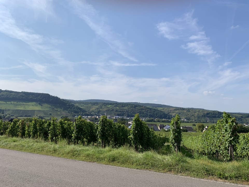 Ausblick Hotel Weinhaus Weis