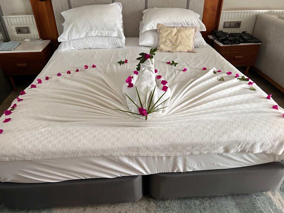 Zimmer Seaden Quality Resort & Spa