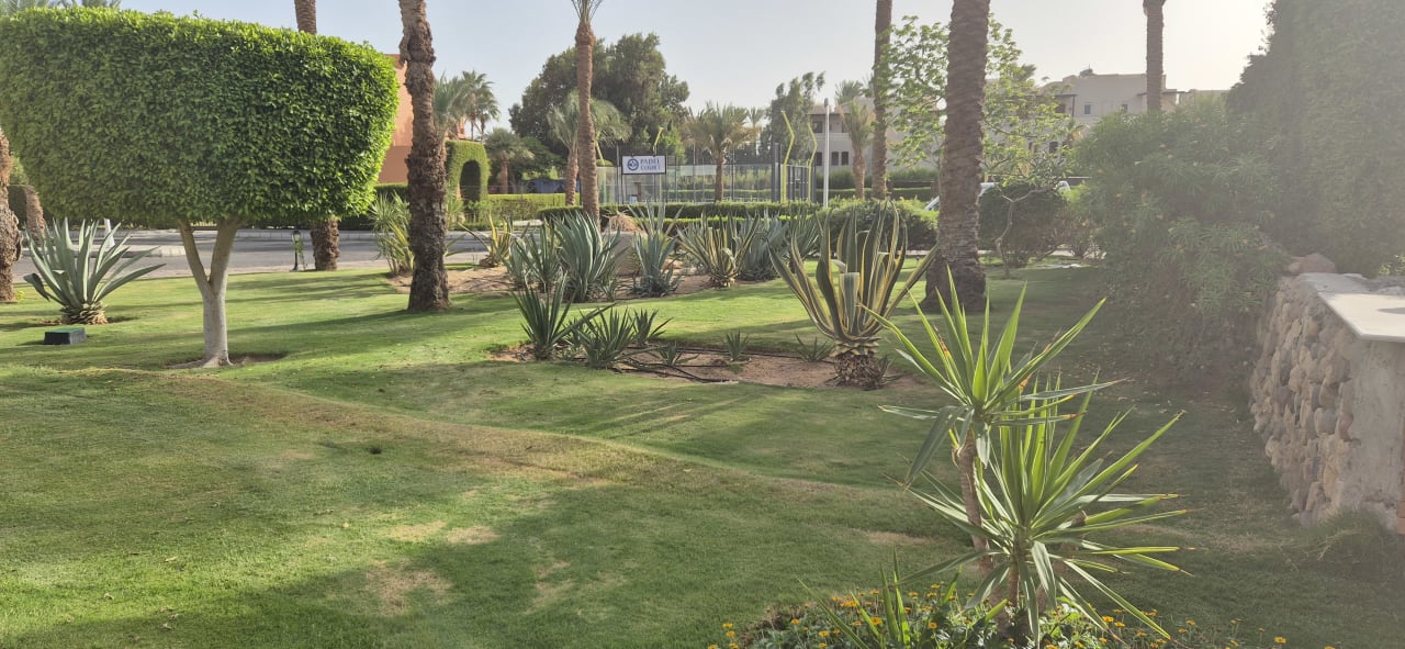 Gartenanlage Jaz Makadi Oasis Resort