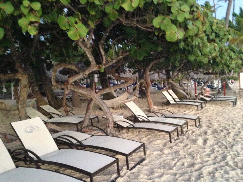 Separater Preium-Bereich Grand Palladium Punta Cana Resort & Spa