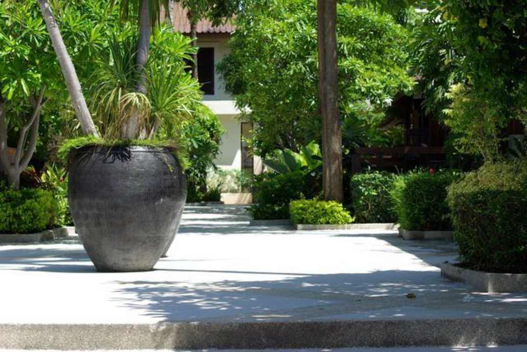 Der Weg zu den Cabanas vom Strand aus. Iyara Beach Hotel