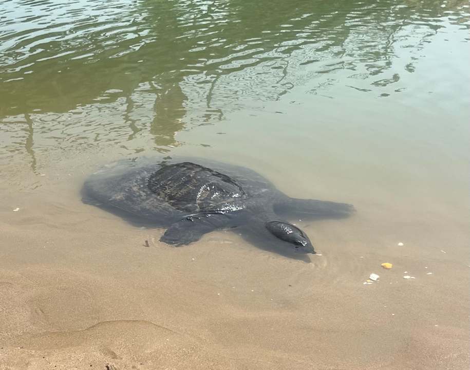 Strand Hane Family Resort