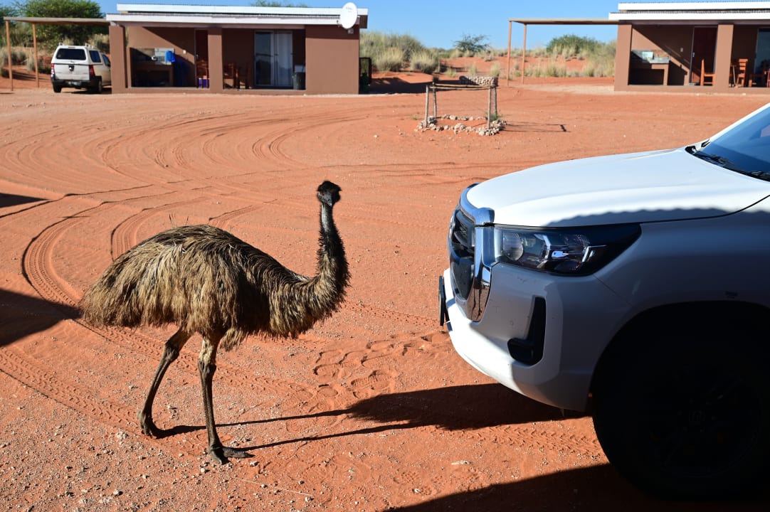 Sonstiges Kgalagadi Lodge