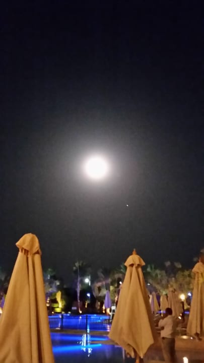 Ausblick Steigenberger Aqua Magic