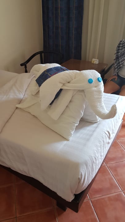 Zimmer Three Corners Sea Beach Resort