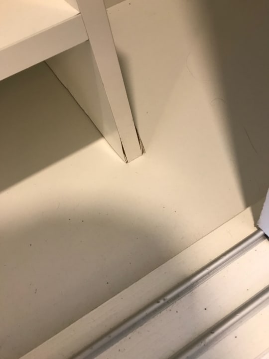 Zimmer Hotel Riu Republica - Adults only