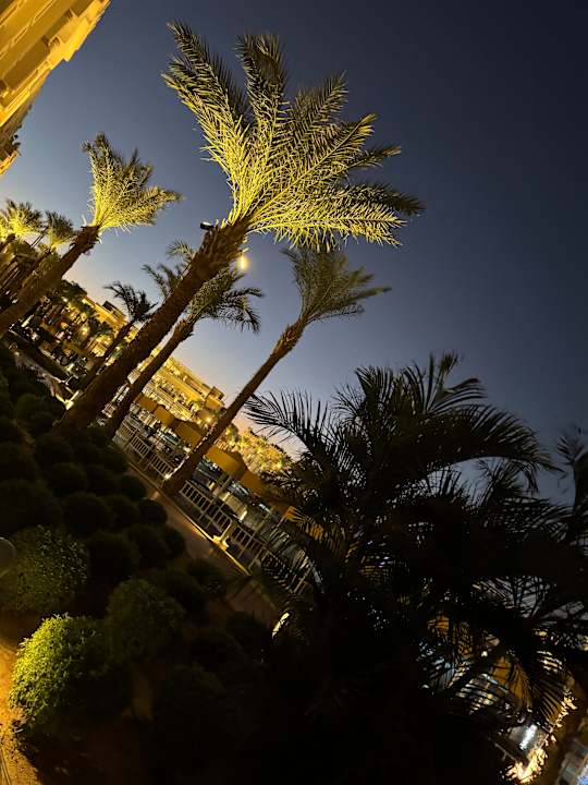 Außenansicht Pickalbatros Palace Resort