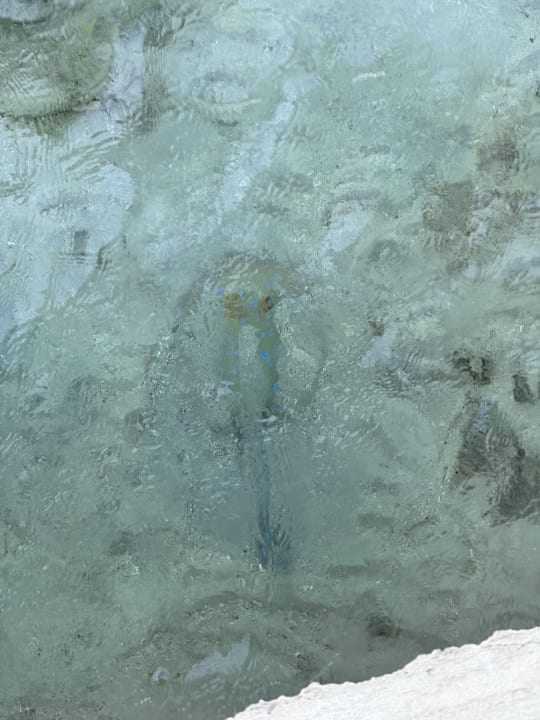 Strand Steigenberger Aqua Magic