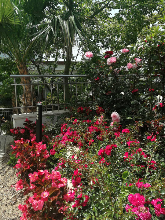 Gartenanlage Dream World Aqua Hotel