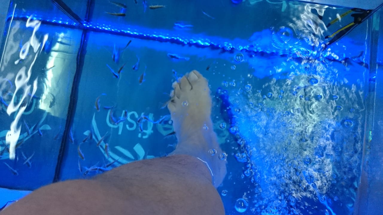 Fische Party Hotel Golden Sands - Adults only