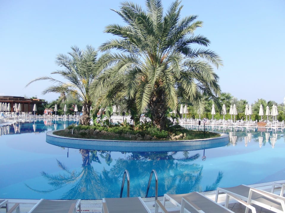 Pool mit Liegen Seaden Sea World Resort & Spa