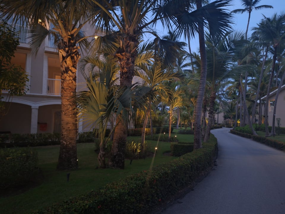 Gartenanlage Hotel Grand Palladium Palace Resort, Spa & Casino