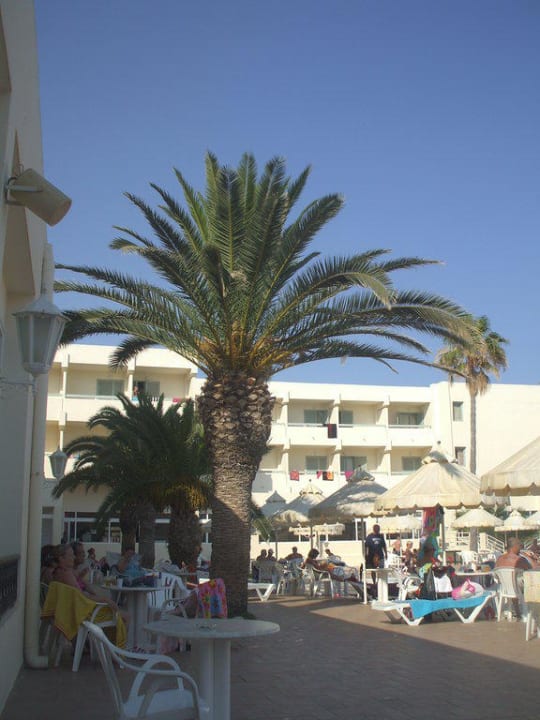 Am Pool Dar Khayam